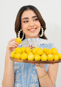 Mahnur Anaya Lawn Vol-1'26 ANA-06