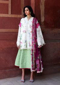 Republic Neoma Lawn'26 D-01 Aabroo