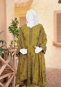 Anchal Emb Wool Shawl'24 D-03