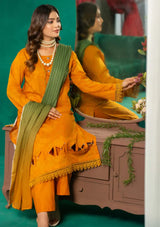 Aangan By Humdam'24 D-05