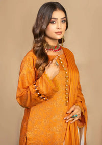 Aangan By Humdam'24 D-07