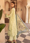Aarzoo By Colorum'23 D-07 - Mohsin Saeed Fabrics