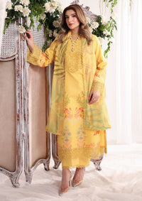 Rang Rasiya Nova Summer Edit'26 D-06 Aurora