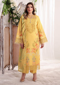Rang Rasiya Nova Summer Edit'26 D-06 Aurora