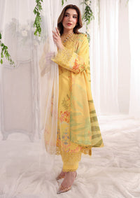 Rang Rasiya Nova Summer Edit'26 D-06 Aurora