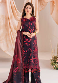Asifa & Nabeel Winter Meraki’24 MW-06 Aurum