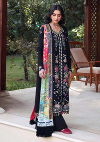 Republic Amaris Luxury Shawl'25 D-11 Aveline