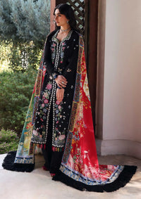 Republic Amaris Luxury Shawl'25 D-11 Aveline