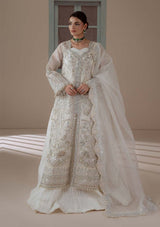 Aylin Ember Festive Edit'26 D-08 Serenity
