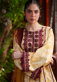 Saira Rizwan Laanem'26 D-06 ZAREEN-A