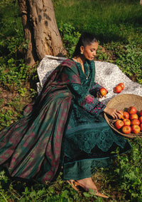 Saira Rizwan Winter'24 SRW-01 DEA