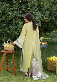 Elaf Luxury Lawn'26 ELY-08 PISTACHIA
