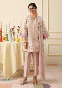 Hemline By Mushq Solail Pirnts'26 D-311 Berry Creme
