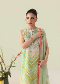 Roheenaz Rosette Lawn'26 D-67B Bloomed Muse