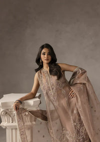 mohsin-saeed-fabrics-designer-daily-wear-formal-and-wedding-suits-within-budget-This-product-is-from-imran-ramzan-eblouir25-blush-de-rose-is-available-on-Mohsin-saeed-fabrics-website.
