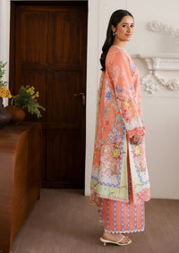 Roheenaz Sunlit Tales'26 D-10 Blush tale