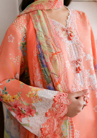Roheenaz Sunlit Tales'26 D-10 Blush tale