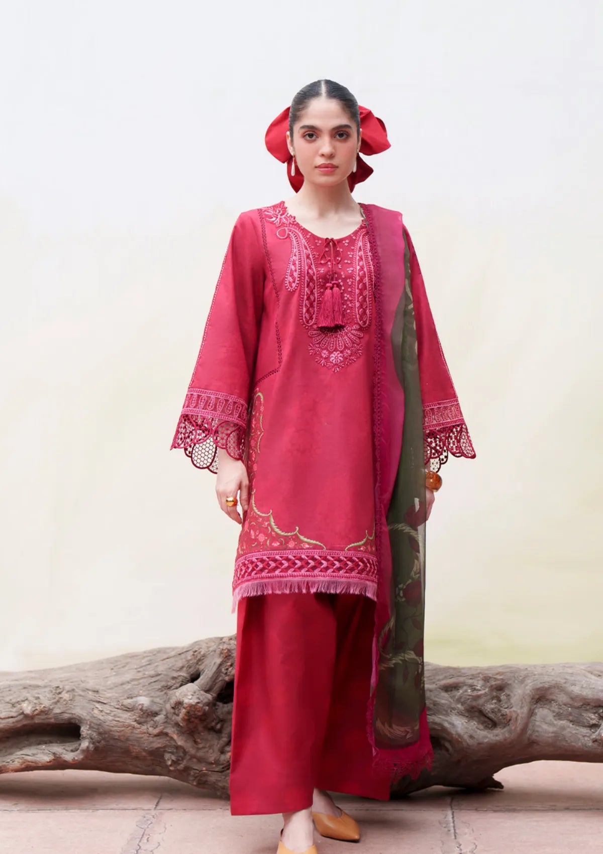 Saira Rizwan Laanem'26 D-01 NAYRA-A