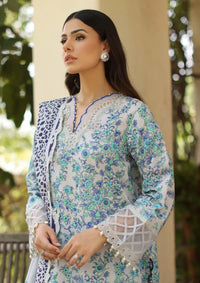 Charizma Range Lawn Vol-1'26 RN6-03