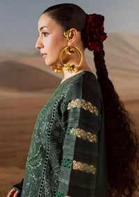 Mahnur Amelia Luxury Winter'25 CK-09