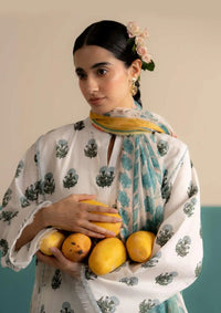 mohsin-saeed-fabrics-luxury-fashion-collection-daily-wear-wedding-and-formal-in-budget-This-product-is-from-coco-by-zara-shahjahan-prints-lawn25-vol-3-d-04b-zofi-is-available-on-Mohsin-saeed-fabrics-website.