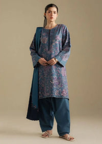 Coco By Zara Shahjahan Winter'25 D-02 B Mist