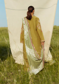 Coco by Zara Shahjahan Winter'24 D-05A PERIDOT