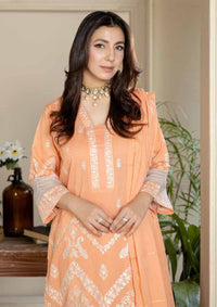 mohsin-saeed-fabrics-is-selling-online-and-in stores-Luxury-daily-wear-wedding-wear-formal-wear-in-budgeted-price-This-product-is-from-johra-crystal-emb-lawn25-jh-791-is-available-on-Mohsin-saeed-fabrics-website.