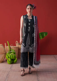 Saira Rizwan Laanem'26 D-07 NERAYA-B