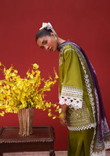 Saira Rizwan Laanem'26 D-07 NERAYA-A