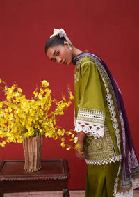 Saira Rizwan Laanem'26 D-07 NERAYA-A
