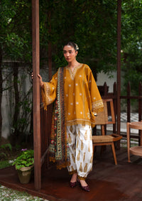 Saira Rizwan Laanem'26 D-04 ZOYA-B