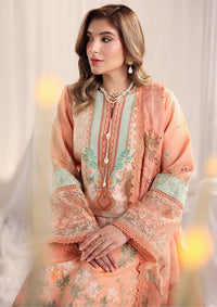Rang Rasiya Nova Summer Edit'26 D-01 Cecilia