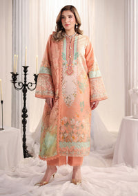 Rang Rasiya Nova Summer Edit'26 D-01 Cecilia