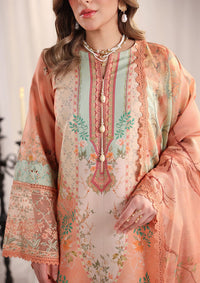 Rang Rasiya Nova Summer Edit'26 D-01 Cecilia