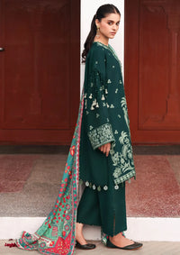 Republic Amaris Luxury Shawl'25 D-07 Celeste