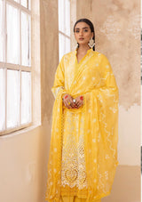 Chikenkari By Khoobsurat'24 CK-01 - Mohsin Saeed Fabrics