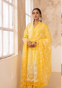 Chikenkari By Khoobsurat'24 CK-01 - Mohsin Saeed Fabrics