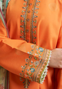 Coco By Zara Shahjahan Lawn'24 D-09B-MORNI - Mohsin Saeed Fabrics