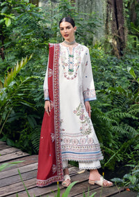 Mushq Hemline Symphony Karandi'25 D-01 Coper Blaze