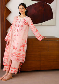 Roheenaz Sunlit Tales'26 D-06 Coral whisper