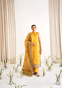 Florent Festive Lawn'24 FL-1B - Mohsin Saeed Fabrics