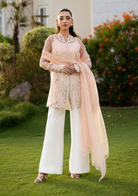 Mohid Shahzad Luxury Pret'25-Iris