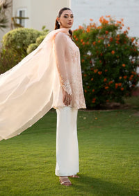 Mohid Shahzad Luxury Pret'25-Iris