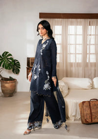 Naqsh Chikankari Festive Edit'26 NS-00198 Blue Contour