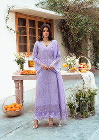 Naqsh Chikankari Festive Edit'26 NS-00193 Lavendar