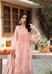 Naqsh Chikankari Festive Edit'26 NS-00194 Peach Blossom
