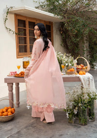 Naqsh Chikankari Festive Edit'26 NS-00194 Peach Blossom