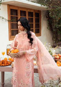 Naqsh Chikankari Festive Edit'26 NS-00194 Peach Blossom