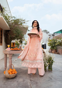 Naqsh Chikankari Festive Edit'26 NS-00194 Peach Blossom